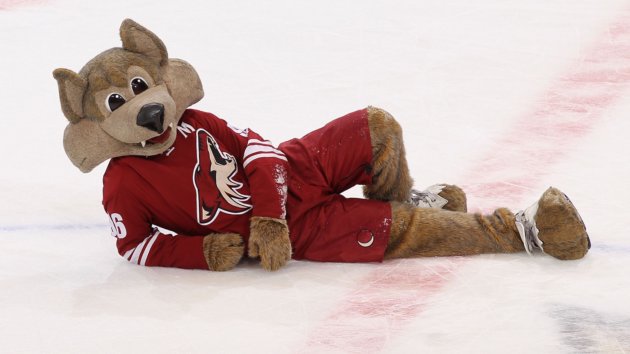 Getty Coyotes Mascot?  SQUARESPACE CACHEVERSION=1359852886979